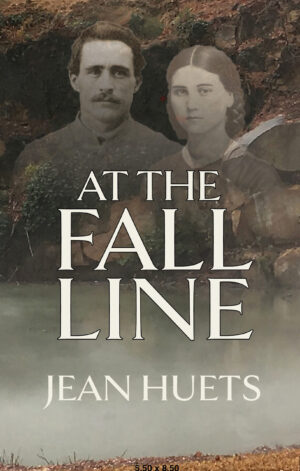 <strong>A Civil War Union veteran becomes entangled with three women who have suffered a family tragedy.</strong> AT THE FALL LINE: A NOVEL cover